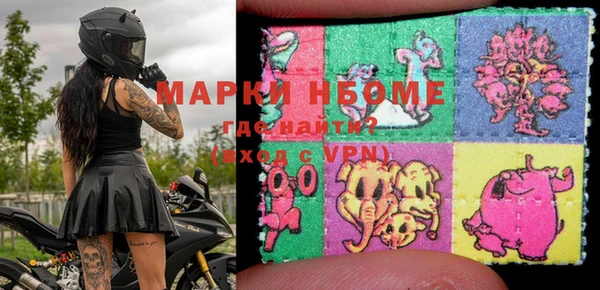 хмурый Аркадак
