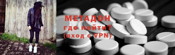 хмурый Аркадак