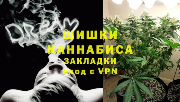 хмурый Аркадак
