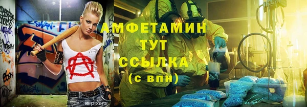 хмурый Аркадак