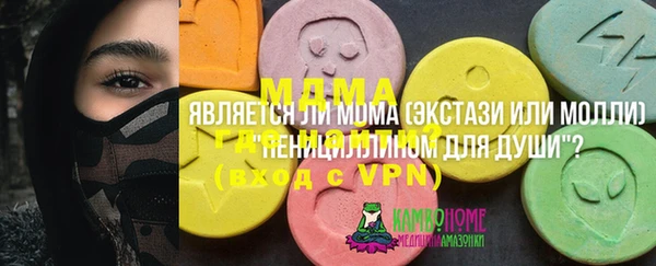 хмурый Аркадак