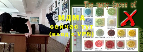 хмурый Аркадак