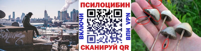 Галлюциногенные грибы прущие грибы  Купить где  Советский 